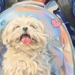 ■記事６■　MBC『私は一人で暮らす』が愛犬コッブニを追悼…視聴者の涙と金曜1位